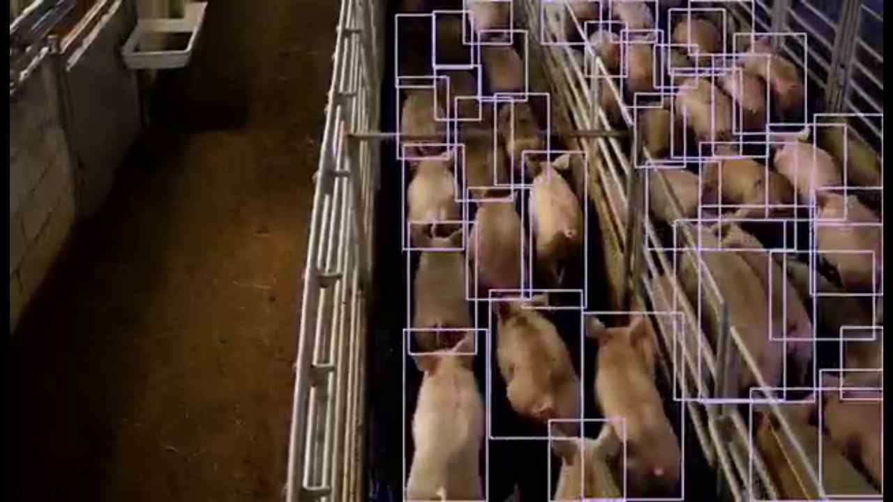 异常行为监测 fallback